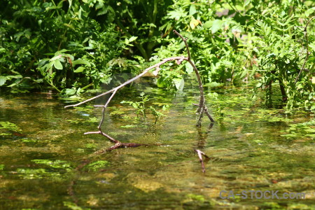 Water river les fonts de lalgar green spain.