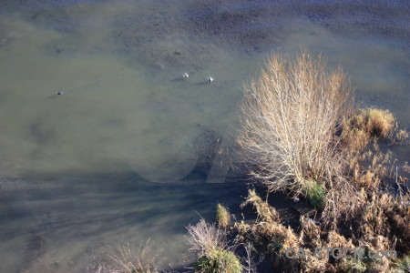 Water sea coast.