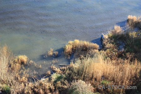 Water sea coast.