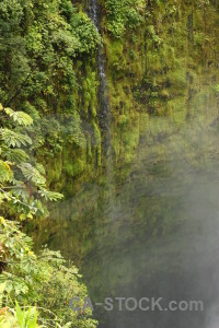 Water waterfall green.