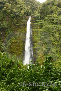 Waterfall green water tree rainforest.