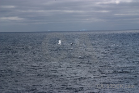 Whale cloud day 4 drake passage water.