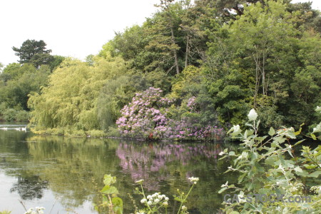 White lake green water.