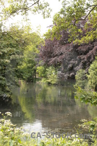 White lake green water.