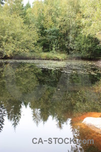 White lake water green.