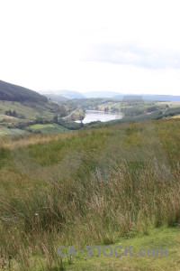 White mountain landscape green.