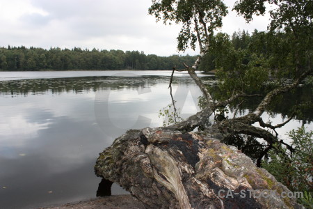 White water lake.