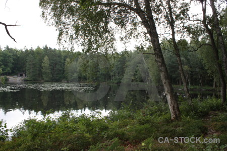 White water lake green.