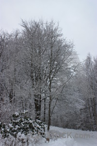 White winter snow.