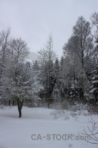White winter snow landscape.