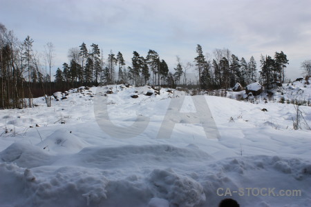 Winter snow landscape.