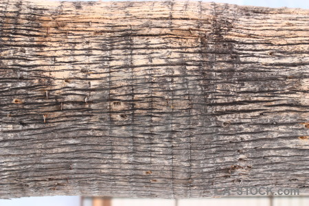 Wood bark texture.