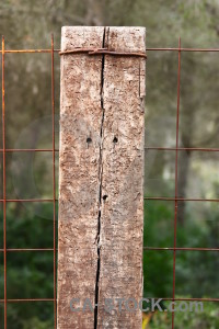 Wood green post texture.