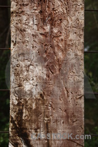 Wood post texture.