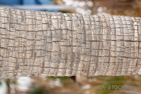 Wood texture.