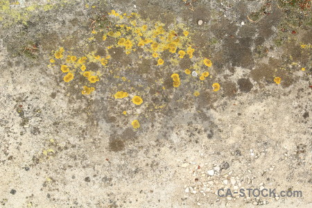 Yellow texture stone rock.