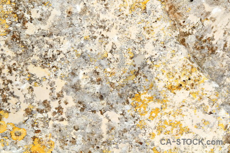Yellow white stone texture rock.